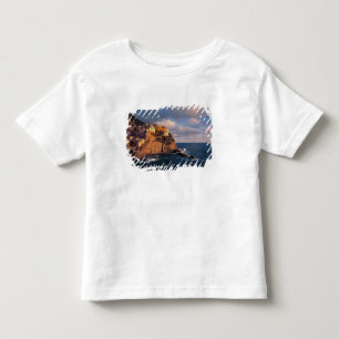 Europe, Italy, Manarola. The cliff-nestled Toddler T-Shirt