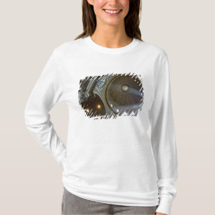 Europe, Italy, Rome. St. Peter's Basilica (aka T-Shirt