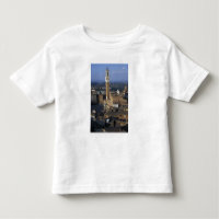 Europe, Italy, Siena. Town overview