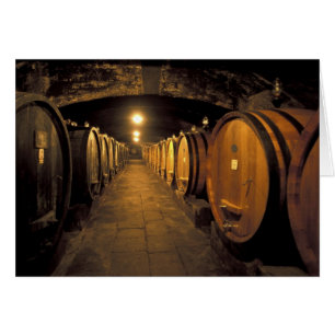 Europe, Italy, Toscana region. Chianti cellars