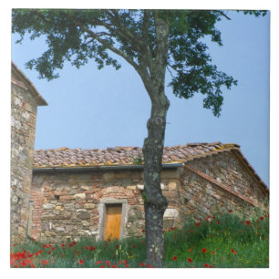 Europe, Italy, Tuscany, abandoned villa in Tile