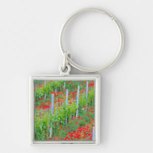 Europe, Italy, Tuscany. Colourful red poppies in Key Ring