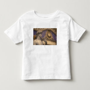 Europe, Italy, Tuscany, Florence, Piazza della Toddler T-Shirt