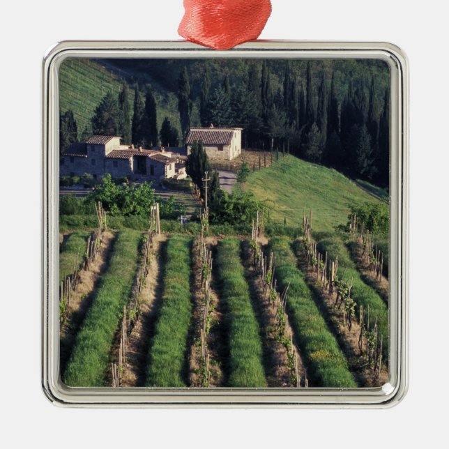 Europe, Italy, Tuscany. Scenic villa cyprus. Metal Tree Decoration (Front)