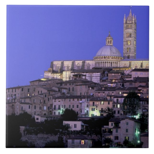 Europe, Italy, Tuscany, Siena. 13th C. Duomo and Tile (Front)