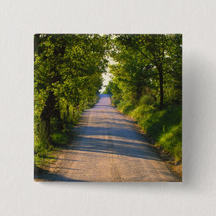 Europe, Italy, Tuscany, tree lined road 15 Cm Square Badge