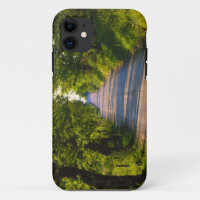 Europe, Italy, Tuscany, tree lined road