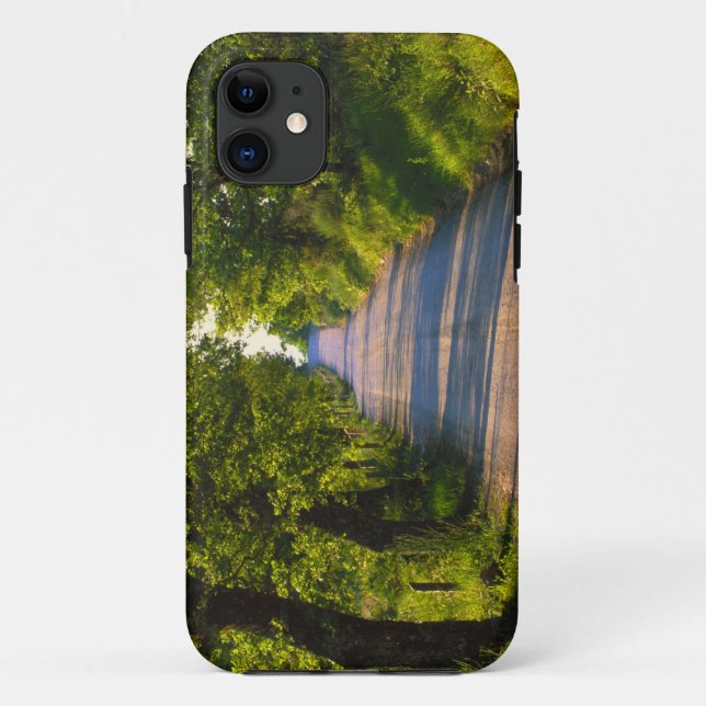 Europe, Italy, Tuscany, tree lined road Case-Mate iPhone Case (Back)