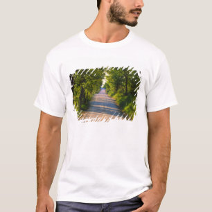 Europe, Italy, Tuscany, tree lined road T-Shirt
