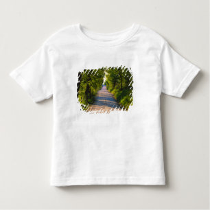 Europe, Italy, Tuscany, tree lined road Toddler T-Shirt