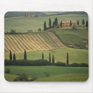 Europe, Italy, Tuscany, Val d' Orcia, Tuscan Mouse Pad