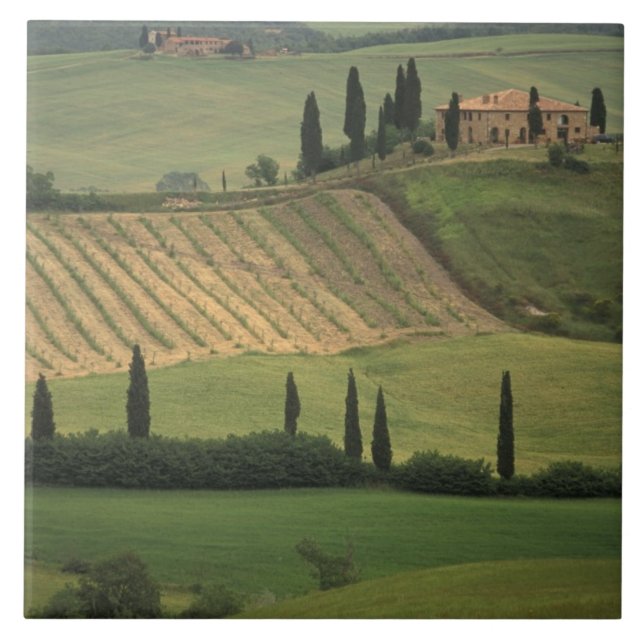 Europe, Italy, Tuscany, Val d' Orcia, Tuscan Tile (Front)