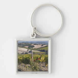 Europe, Italy, Umbria, near Montefalco, Vineyard Key Ring