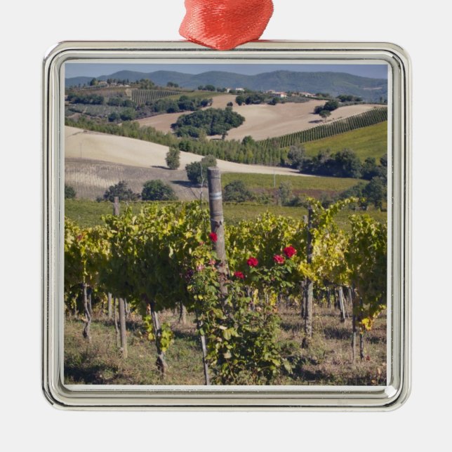 Europe, Italy, Umbria, near Montefalco, Vineyard Metal Tree Decoration (Front)