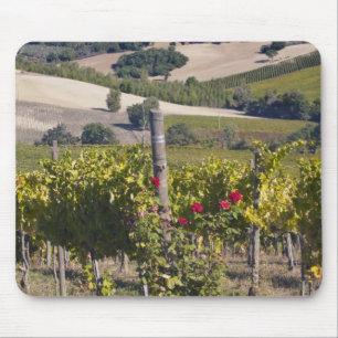 Europe, Italy, Umbria, near Montefalco, Vineyard Mouse Pad