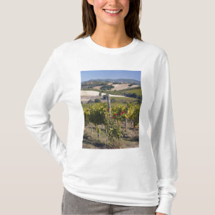 Europe, Italy, Umbria, near Montefalco, Vineyard T-Shirt