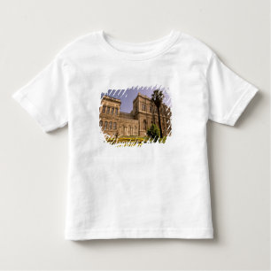 Europe, Middle East, Istanbul. The Bosphorus, Toddler T-Shirt