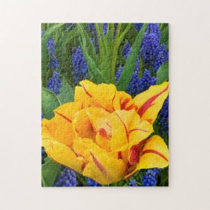 Europe, Netherlands, Lisse. Tulips Jigsaw Puzzle
