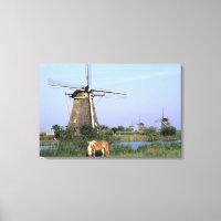 Europe, Netherlands, Zuid Holland, Kinderdijk. 2