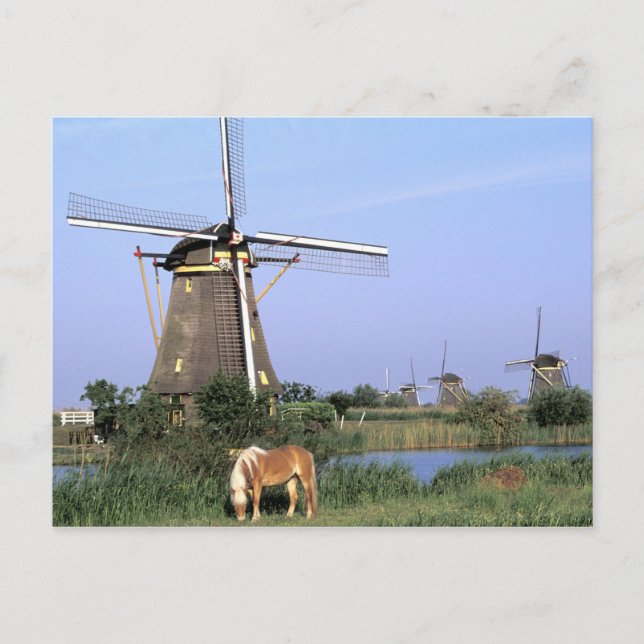 Europe, Netherlands, Zuid Holland, Kinderdijk. 2 Postcard (Front)