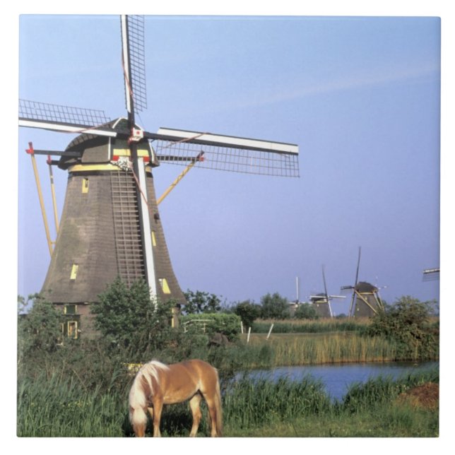 Europe, Netherlands, Zuid Holland, Kinderdijk. 2 Tile (Front)