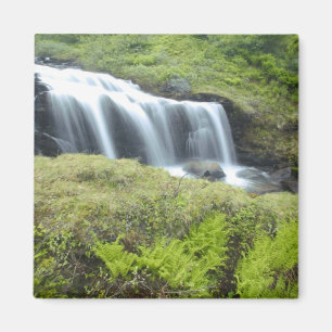 Europe, Norway. Waterfall. Magnet