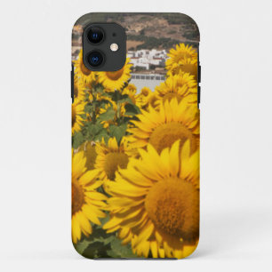 Europe, Spain, Andalusia, Cadiz Province Case-Mate iPhone Case