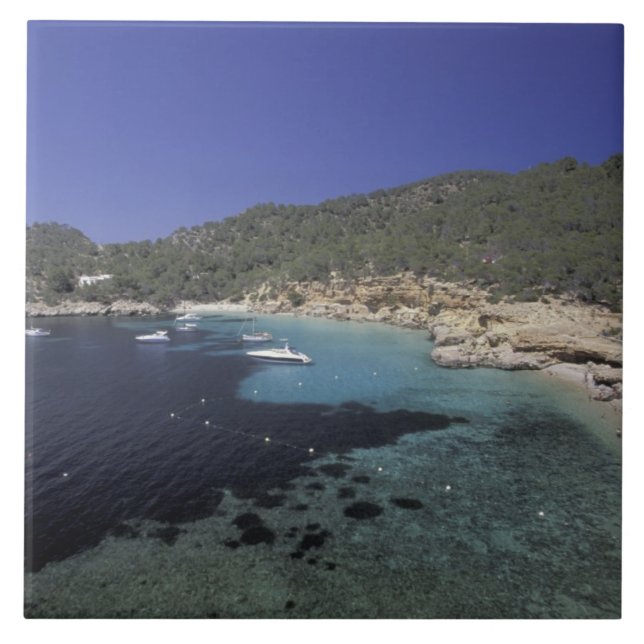 Europe, Spain, Balearics, Ibiza, Cala Salada. Tile (Front)