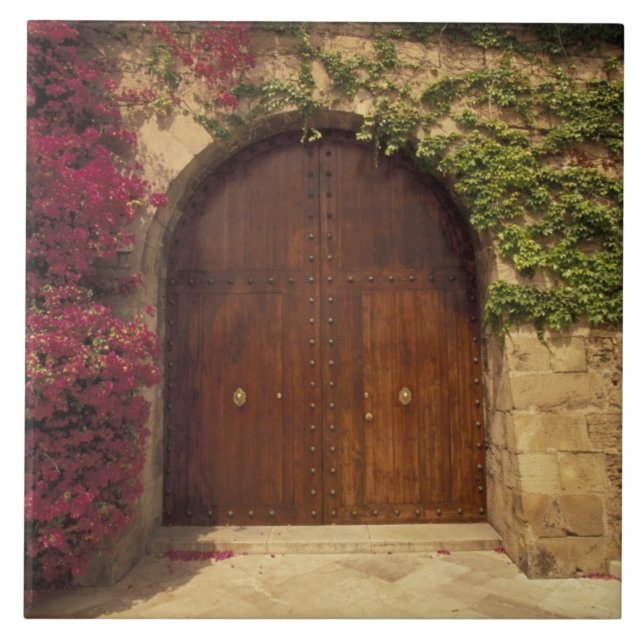 Europe, Spain, Balearics, Mallorca, Palma de Tile (Front)