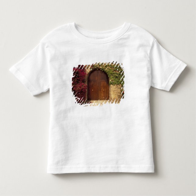 Europe, Spain, Balearics, Mallorca, Palma de Toddler T-Shirt (Front)