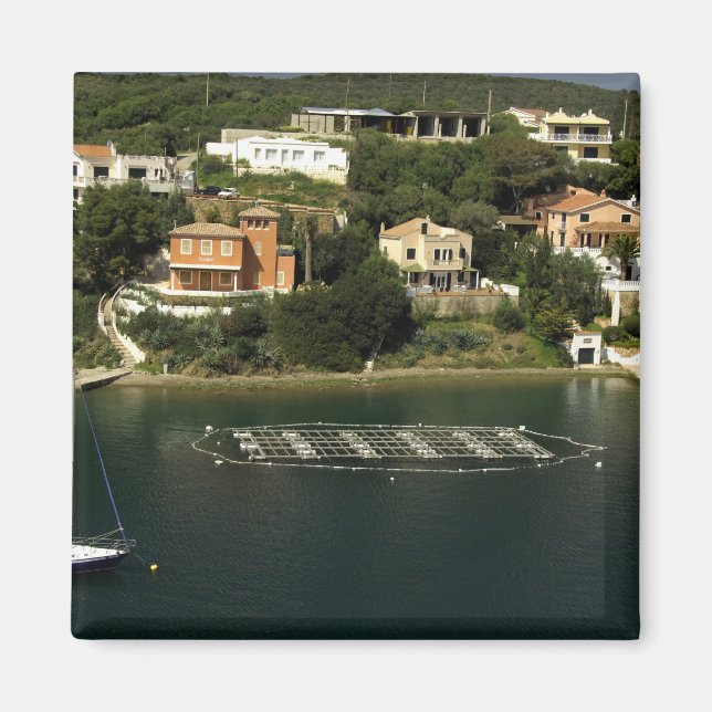 Europe, Spain, Minorca (aka Menorca). Fish Magnet (Front)