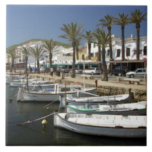 Europe, Spain, Minorca (aka Menorca). Fishing Tile