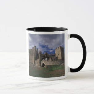 Europe, Spain, Ponferrada, Leon. Templer Mug