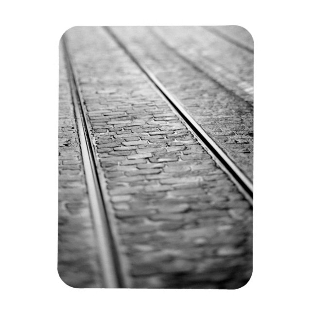 Europe, Switzerland, Bern. Tram tracks, 2 Magnet (Vertical)