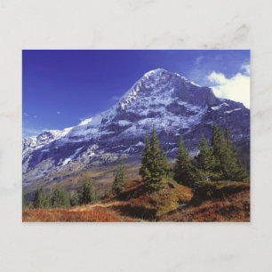 Europe, Switzerland, Eiger. Fall colours abound Postcard