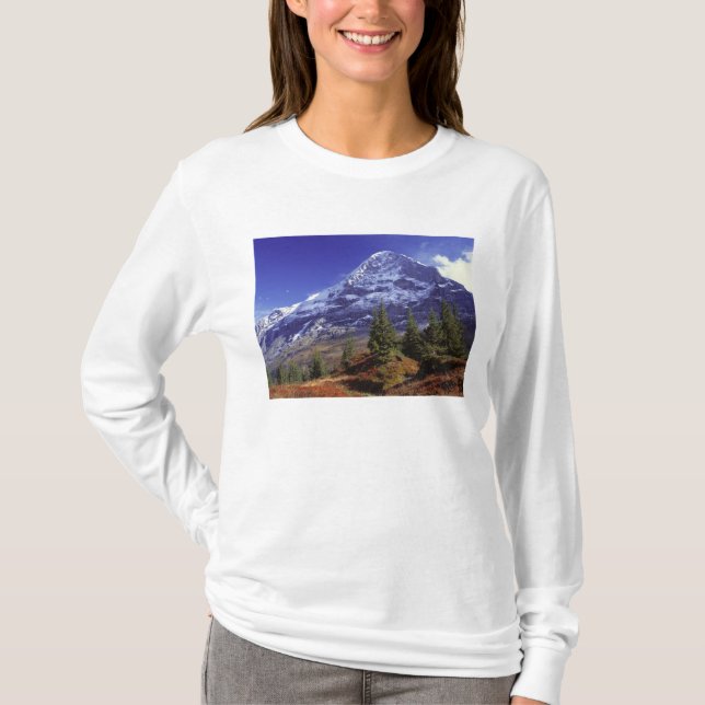 Europe, Switzerland, Eiger. Fall colours abound T-Shirt (Front)
