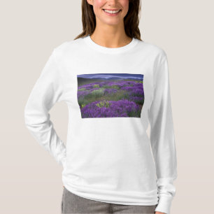 Europe, Turkey, Cappadocia. Rural landscape 2 T-Shirt
