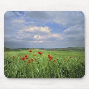 Europe, Tuscany, Poggiolo. Red poppies sway Mouse Pad