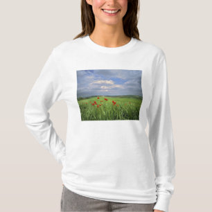 Europe, Tuscany, Poggiolo. Red poppies sway T-Shirt