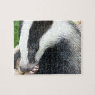 European Badger Face Jigsaw Puzzle