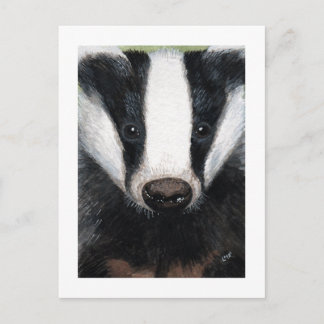 European Badger Portrait Painting Postcard