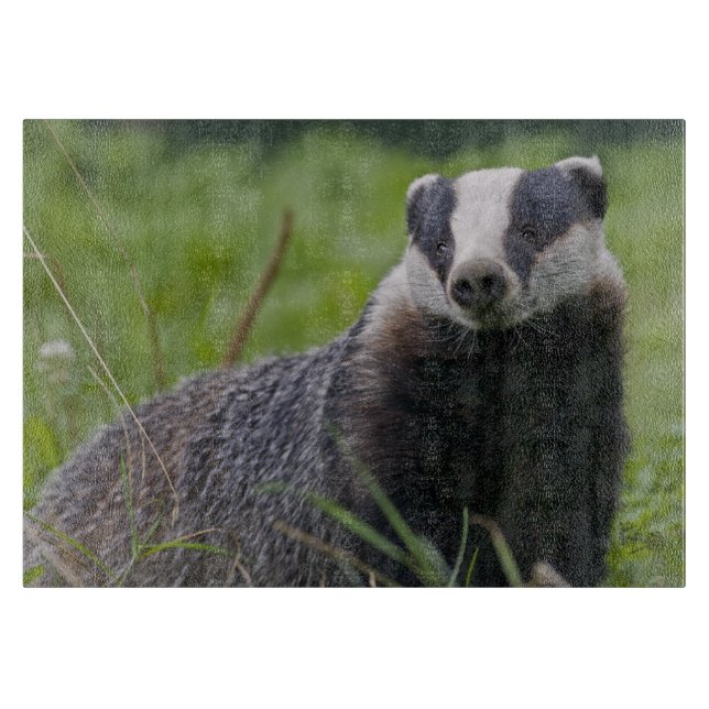 European Badger Rectangular Cutting Board (Front)