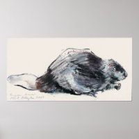 European Beaver