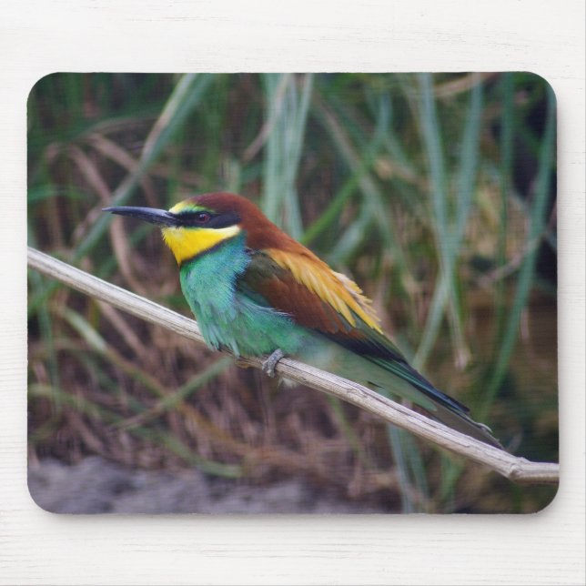 European Bee-eater Mouse Pad (Front)