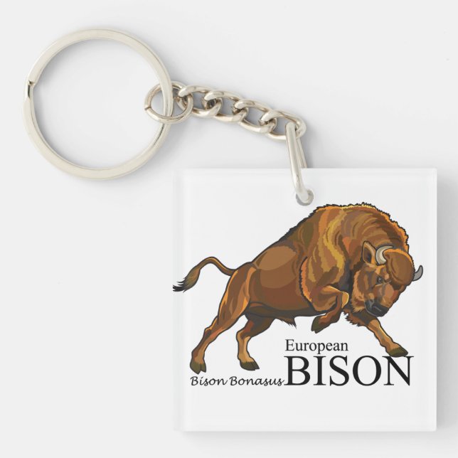 european bison key ring (Front)
