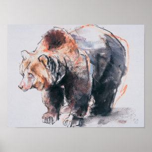 European Brown Bear 2001 Poster