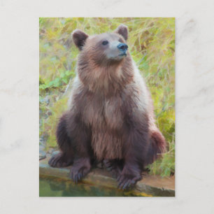 European Brown Bear in Bern Bear Park Postcard