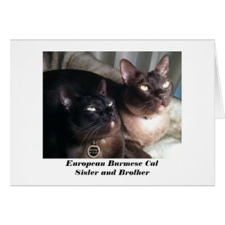 European Burmese Cat Card