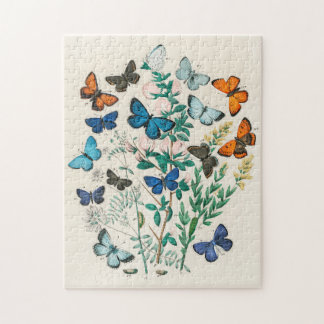 European Butterflies & Moths Jigsaw Puzzle