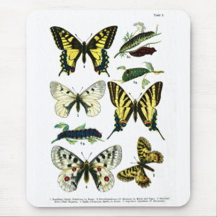 European Butterflies Plate I Mouse Pad